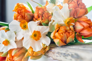 Strauß Tulpen und Narzissen auf einer Fensterbank Strauß Tulpen und Narzissen auf einer Fensterbank